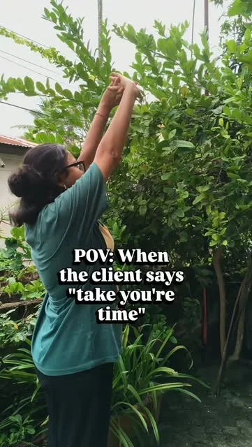 Kohuwa client-deadline humour reel cover